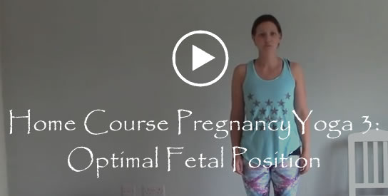 Home Course Pregancy Yoga 3 Optimal Fetal Position