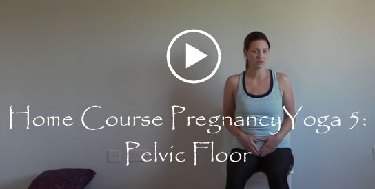 Home Course Pregnancy Yoga 5 Pelvic Floor